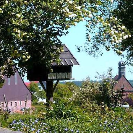 Gasthaus-Pension Zum Brandweiher Аморбах Экстерьер фото