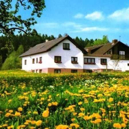 Gasthaus-Pension Zum Brandweiher Аморбах Экстерьер фото