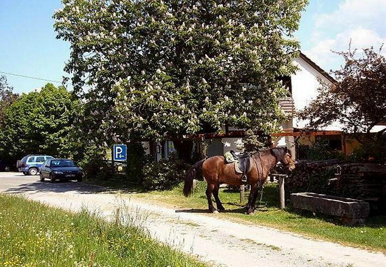 Gasthaus-Pension Zum Brandweiher Аморбах Экстерьер фото